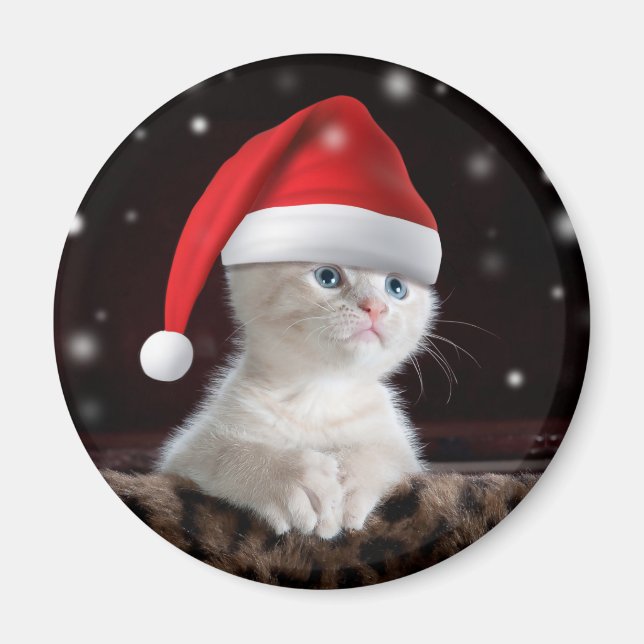 White Cat in Santa Claus Hat Magnet (Front)