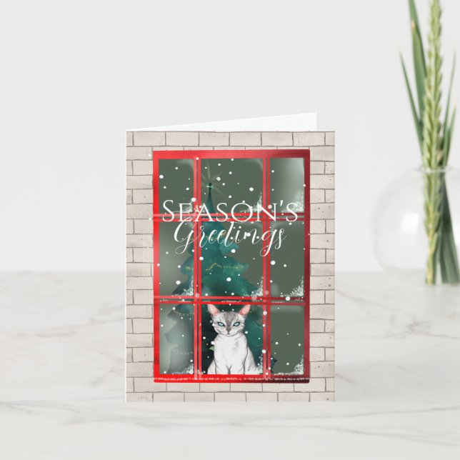 White Cat Inside Christmas Window Holiday Card (Front)