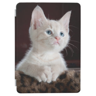 White Cat iPad 9.7" Smart Cover