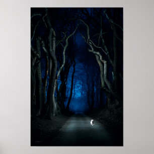 White Cat on Canopy Road at Night Poster Art Print