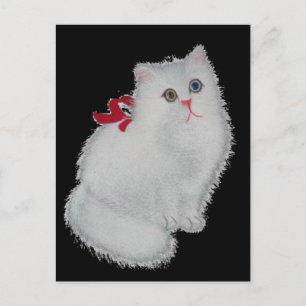 White Cat Postcard