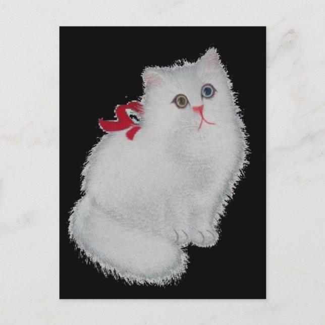 White Cat Postcard (Front)