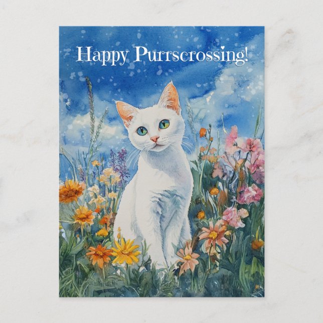 White Cat Postcrossing - Postcard (Front)