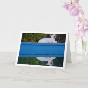 White Cat Reflection Card