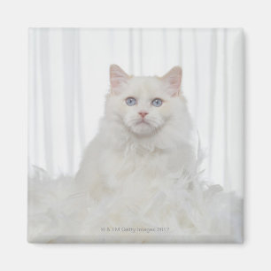 White Cat with Feathers Magnet