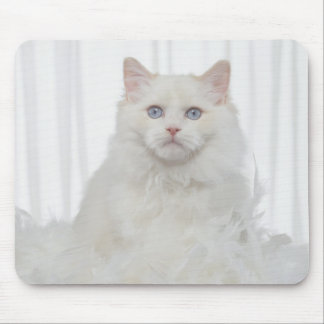 White Cat with Feathers Mouse Pad
