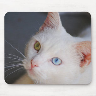 White cat with one green eye & one blue eye mouse pad
