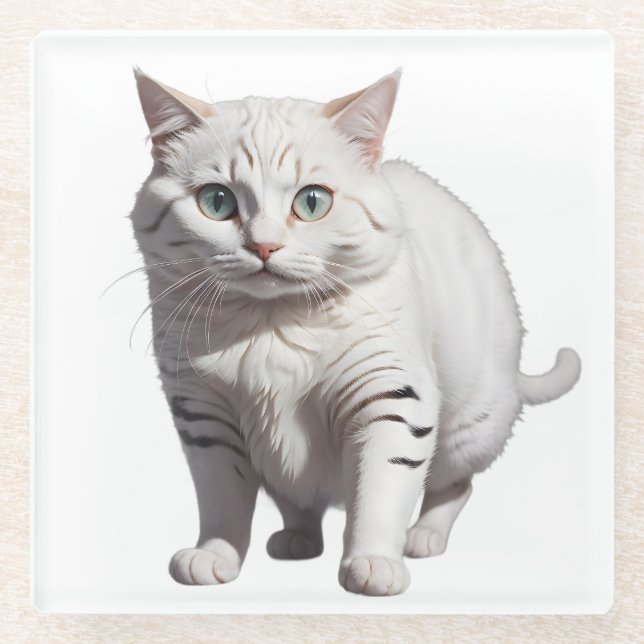 White Cat with Subtle Gray Tabby Markings Glass Coaster (Front)