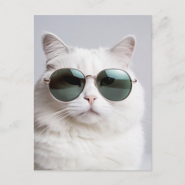 White cat with sunglasses, cool feline, lovely pet postcard (Front)