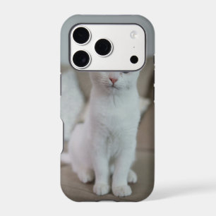 White cat Zazzle_Growshop.