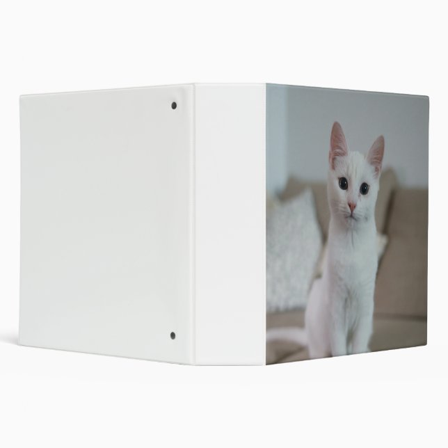 White cat | Zazzle_Growshop. Binder (Background)