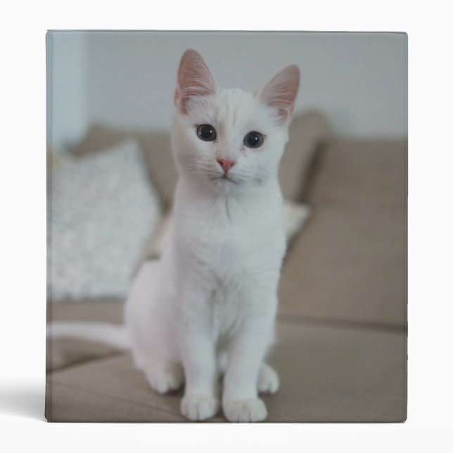 White cat | Zazzle_Growshop. Binder (Front)