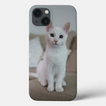 White cat | Zazzle_Growshop.