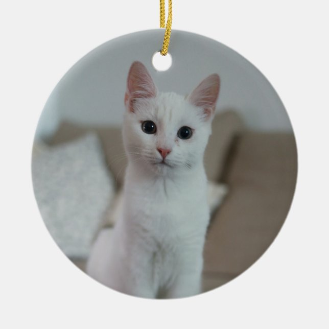 White cat | Zazzle_Growshop. Ceramic Ornament (Front)