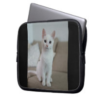 White cat | Zazzle_Growshop.