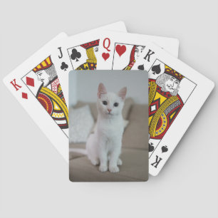 White cat Zazzle_Growshop. Playing Cards