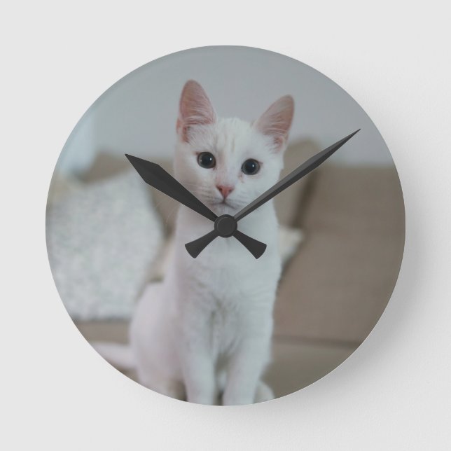 White cat | Zazzle_Growshop. Round Clock (Front)