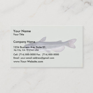 White catfish business card