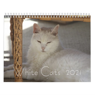 White Cats 2021 Calendar