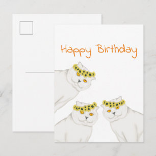 White cats Happy Birthday Postcard