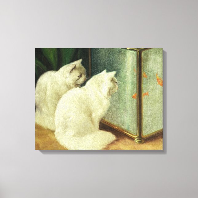 White Cats Watching Goldfish Canvas Print (Front)