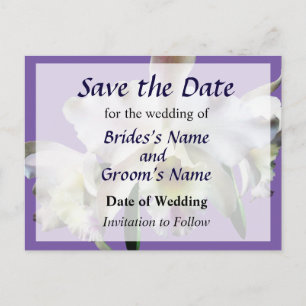White Cattleya Orchids Announcement Postcard