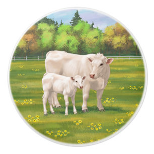 White Charolais Cow & Cute Calf Beef Cattle Ceramic Knob