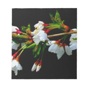 White Cherry Blossom photo Notepad