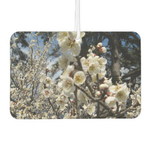 White Cherry Blossom / Sakura / サクラ(桜) Air Freshener