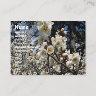 White Cherry Blossom / Sakura / サクラ（桜） Business Card