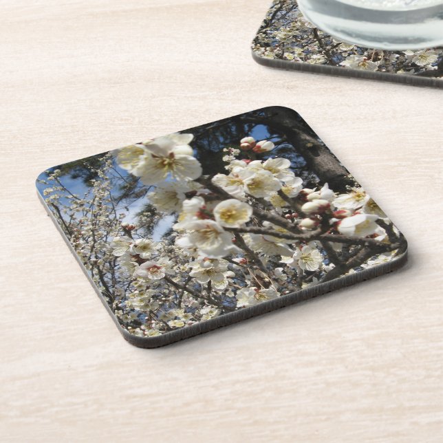 White Cherry Blossom / Sakura / サクラ（桜） Coaster (Left Side)