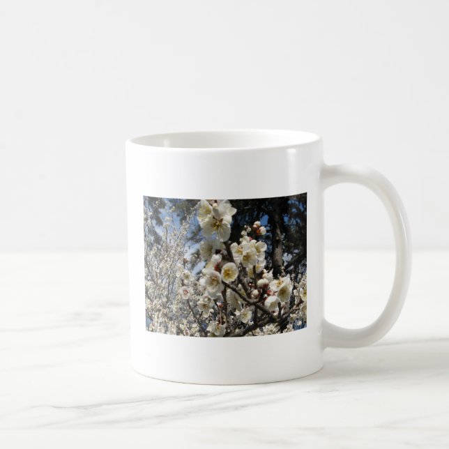 White Cherry Blossom / Sakura / サクラ（桜） Coffee Mug (Right)