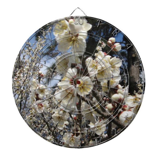 White Cherry Blossom / Sakura / サクラ（桜） Dartboard (Front)