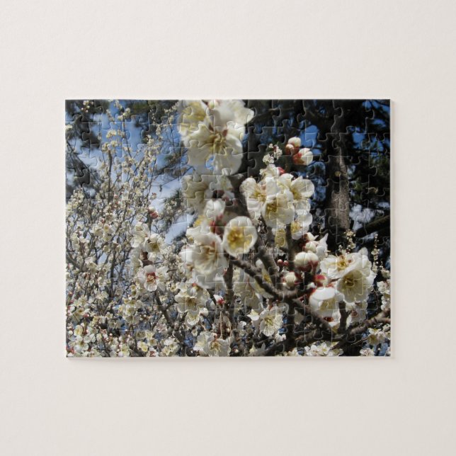 White Cherry Blossom / Sakura / サクラ（桜） Jigsaw Puzzle (Horizontal)