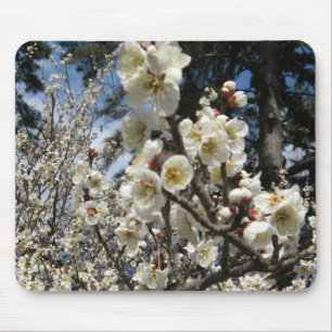 White Cherry Blossom / Sakura / サクラ（桜） Mouse Pad