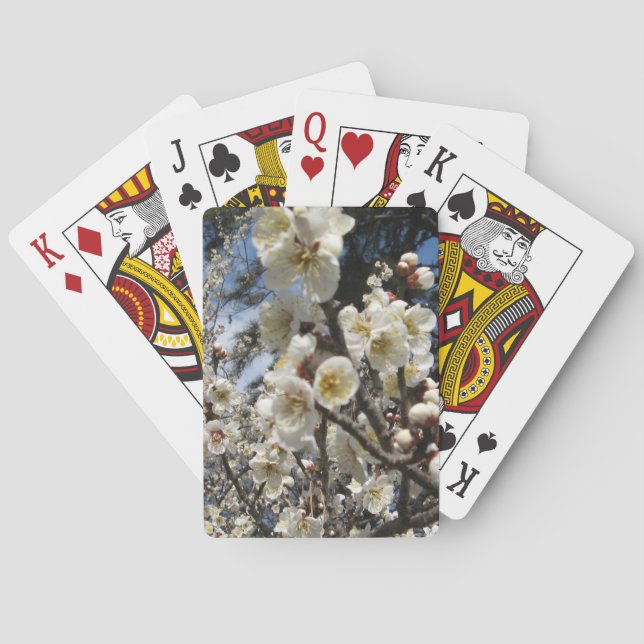 White Cherry Blossom / Sakura / サクラ（桜） Playing Cards (Back)