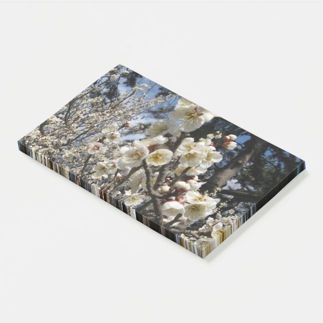White Cherry Blossom / Sakura / サクラ（桜） Post-it Notes (Angled)