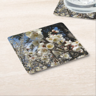 White Cherry Blossom / Sakura / サクラ（桜） Square Paper Coaster