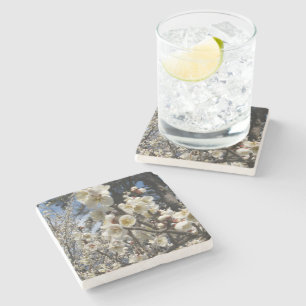 White Cherry Blossom / Sakura / サクラ（桜） Stone Coaster