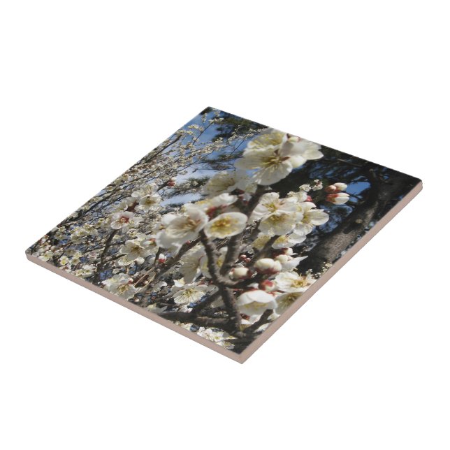 White Cherry Blossom / Sakura / サクラ（桜） Tile (Side)