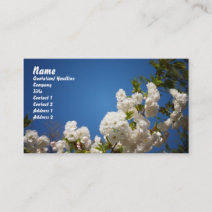 White Cherry Blossoms Against Blue Background Business Card