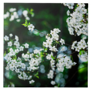 White Cherry Blossoms Green Leaves Tile