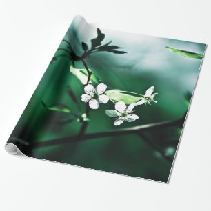 White Cherry Blossoms Wrapping Paper
