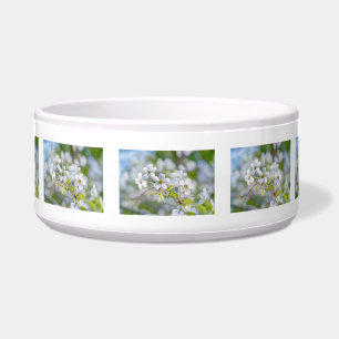 White Cherry Flower