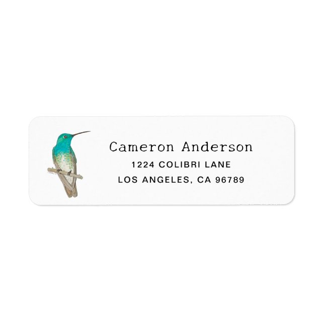 White-chested Emerald Hummingbird (Devant)