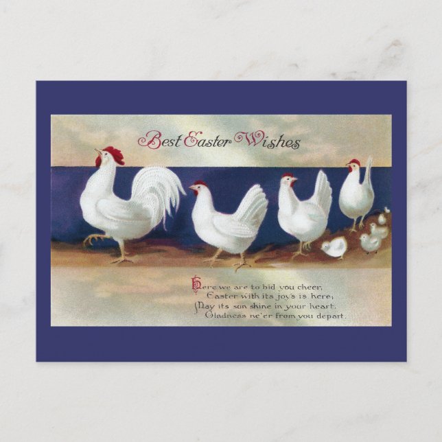 White Chicken Easter Parade Holiday Postcard (Front)