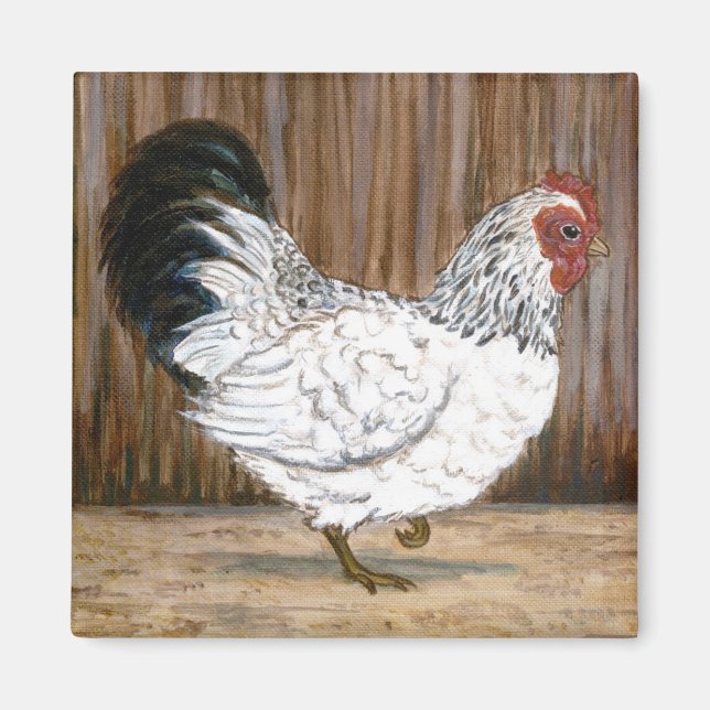 White Chicken Magnet (Front)