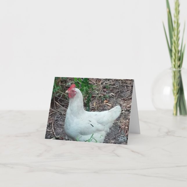 White Chicken Photo Folded Note Card (Front)