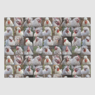 White Chickens Photo Collage, Tissue Paper