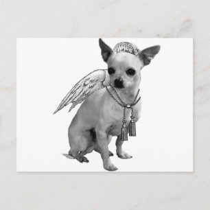 White Chihuahua Angel Wings Postcard